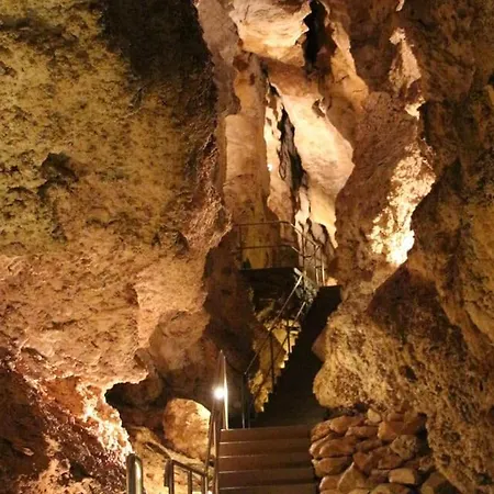 דירה Margithid *